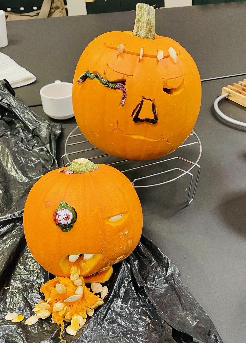 Dr. Anne Duplouy tweet media