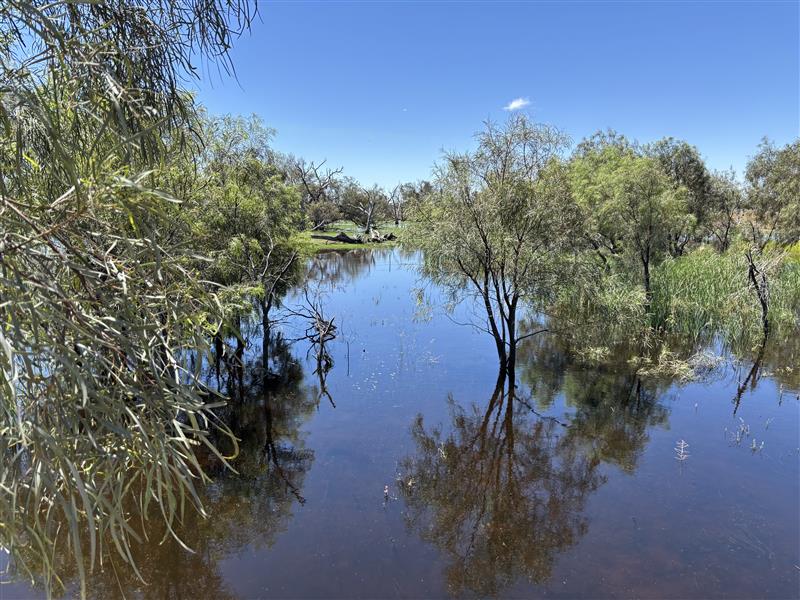 theCEWH's tweet photo. Last week we toured the wonderful #Macquarie region with @MD_Basin_Auth. 📍

The #CEWH Dr Simon Banks and our Local Engagement Officer were there to:

💧 Discuss #WaterForTheEnvironment.

💬 Learn from local knowledge and insights.

🤝 Meet with #Community and local government. https://t.co/8h4HhygL4y