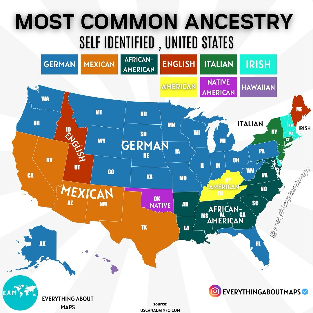 🗺️ America’s Ancestry Map 🇺🇸
Ever wondered where people in each U.S. state trace their roots? Here’s the most common self-identified ancestry across the country