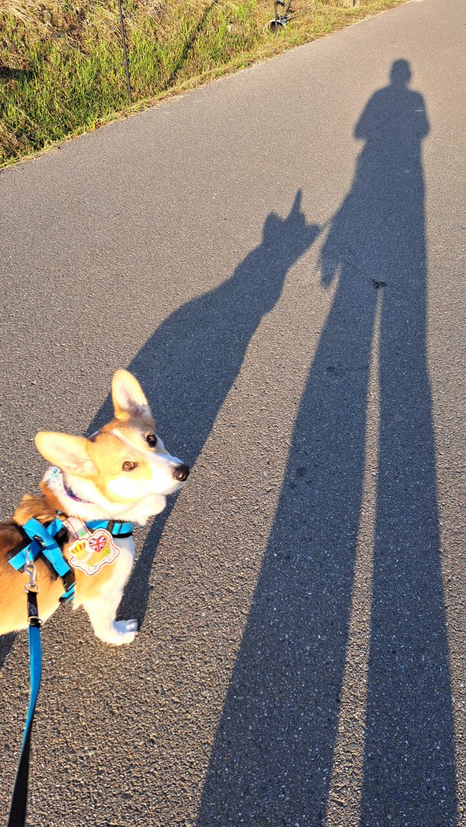コジとしんのかぁしゃん(kazu) tweet media