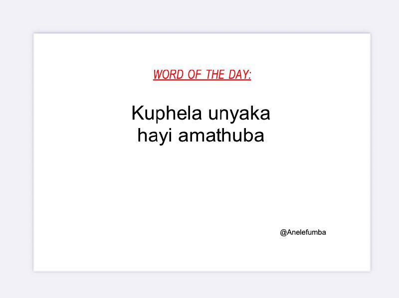 Anele Fumba 🇿🇦 tweet media