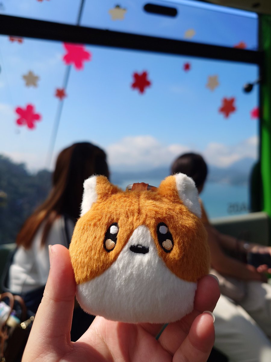 我要發霉了🫠
帶著喜歡的小東西逃離潮濕