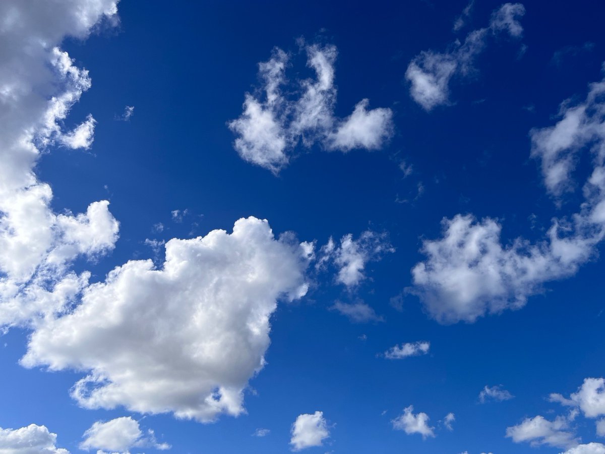 曇ってたけど、綺麗に晴れたー