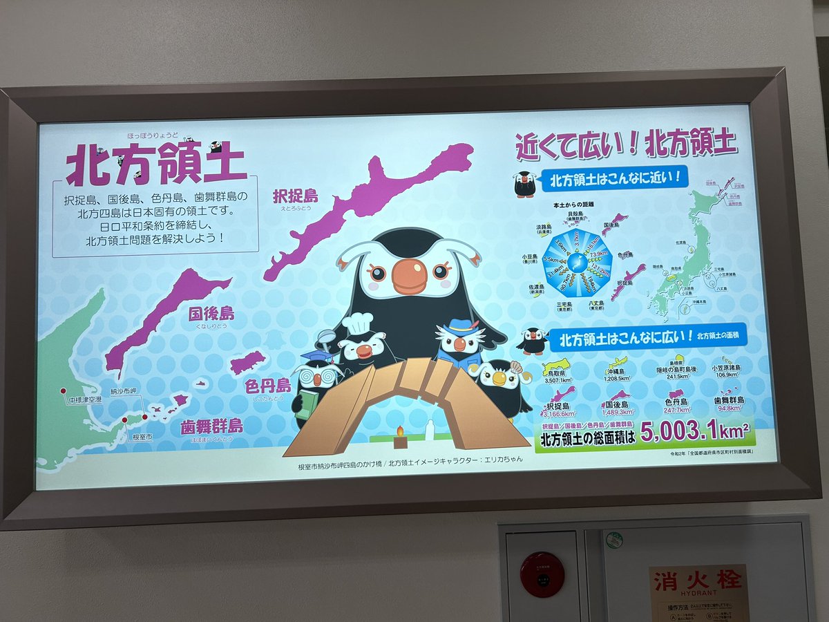 サリー☆♨️🗻🌸 (@sariy926) / Posts / X