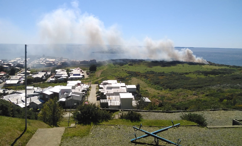 Crónica | Incendio forestal amenazó viviendas y Senapred declaró alerta roja en Ancud elinsular.cl/noticias/chilo…