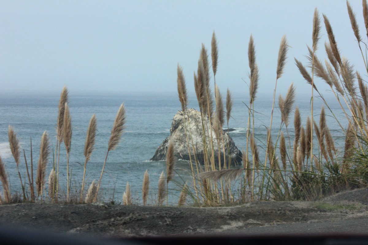 elguerolanchero's tweet photo. #northerncalifornia #coastalline #scenicview Enjoyed the trip to Northern California. Coastal rock formations https://t.co/rzQQWywUAU