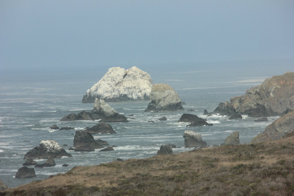 elguerolanchero's tweet photo. #northerncalifornia #coastalline #scenicview Enjoyed the trip to Northern California. Coastal rock formations https://t.co/rzQQWywUAU