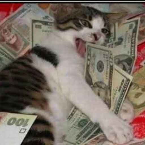 Professor Push tweet media