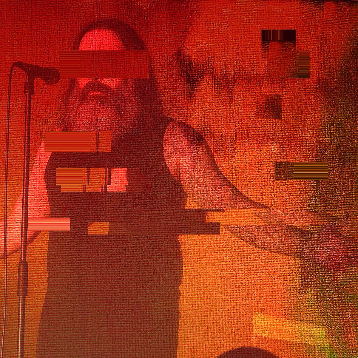 the.second.circuit tweet media