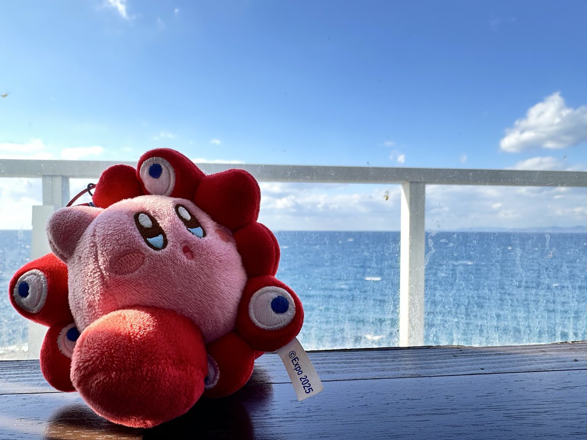 chankoefbjms's tweet photo. ウチのミャクミャクはキウイブラザーズからハチワレ、そしてカービィへと乗り移っております https://t.co/2tIWtn1svt