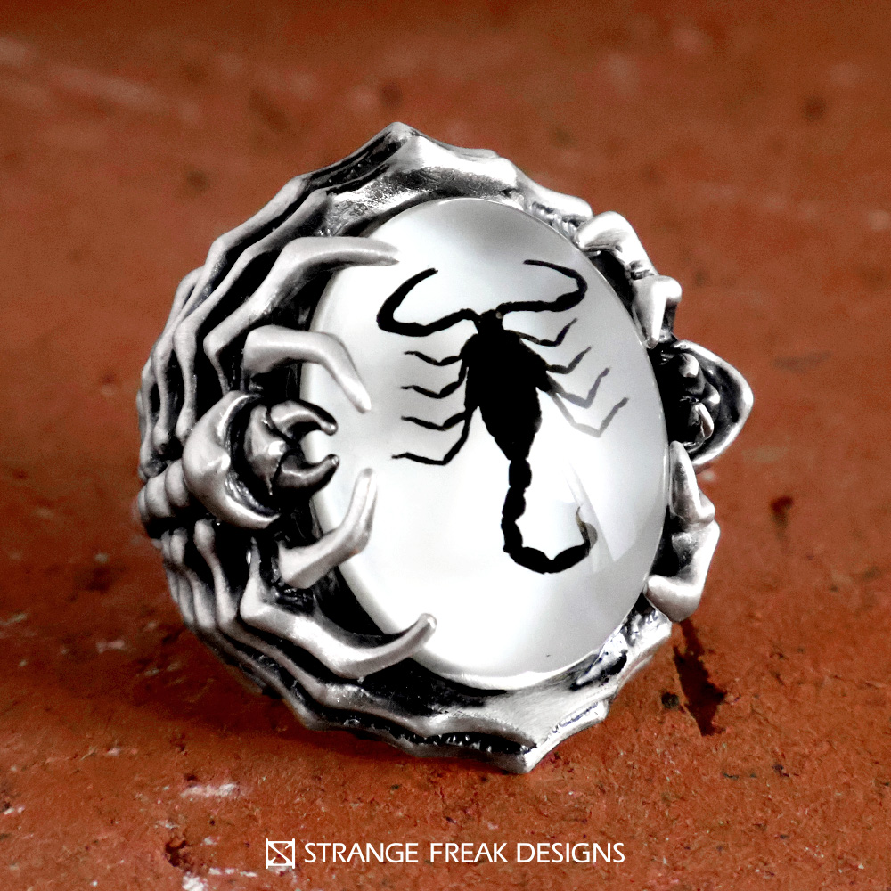 SILVER_GEEKS's tweet image. 中央に蠍（サソリ）樹脂をセット！
両サイドには百足系クリーチャーを造形。

STRANGE FREAK DESIGNS
「ラナルーサ」をアップ！
ameblo.jp/silver-geeks/e…

毒々しさが魅力的な大胆なリング！
#sfdjp
@STRANGE_FREAK