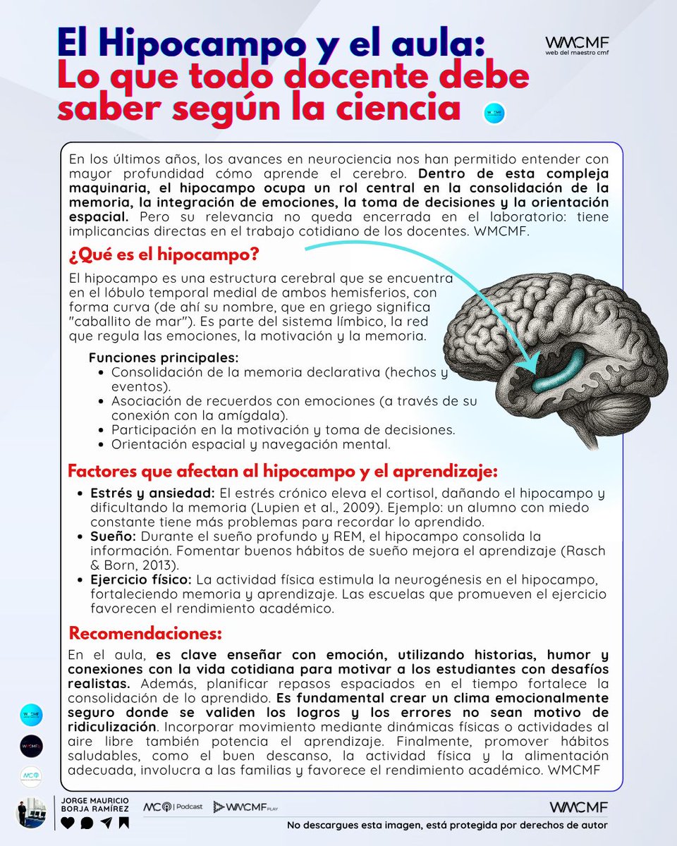 El Hipocampo y el aula: Lo que todo docente debe saber según la ciencia. Enlace: webdelmaestrocmf.com/portal/el-hipo…

Cada vez que un docente ingresa a su sala de clases, se convierte en el primer mediador entre el conocimiento y la biología cerebral de sus estudiantes. Entender cómo el