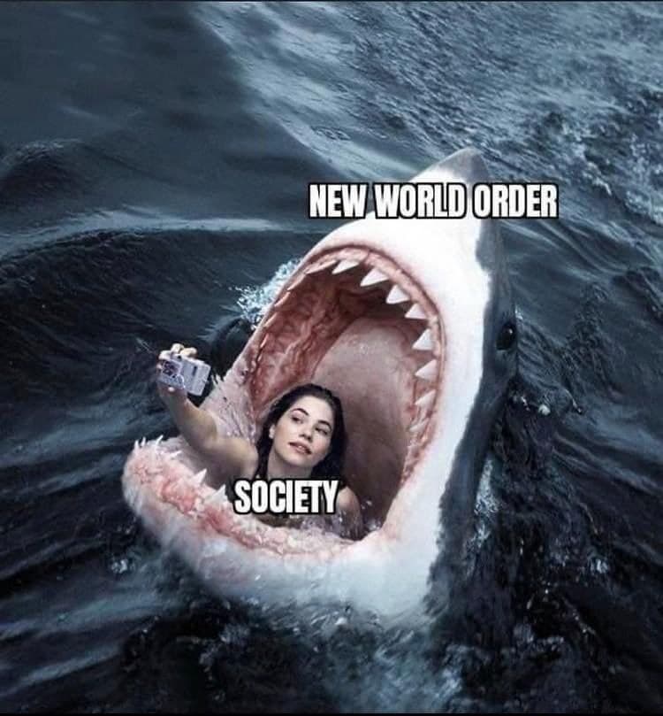 conspiracybot (@conspiracyb0t) on Twitter photo 