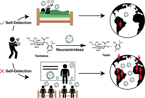 🧠👅 Innovative approach to flu detection: A taste-based sensor that detects influenza neuraminidase activity, using the tongue as a detector :D
A low-cost, accessible tool for rapid, presymptomatic flu screening.
#Influenza #Diagnostics #Neuraminidase
pubs.acs.org/doi/full/10.10…