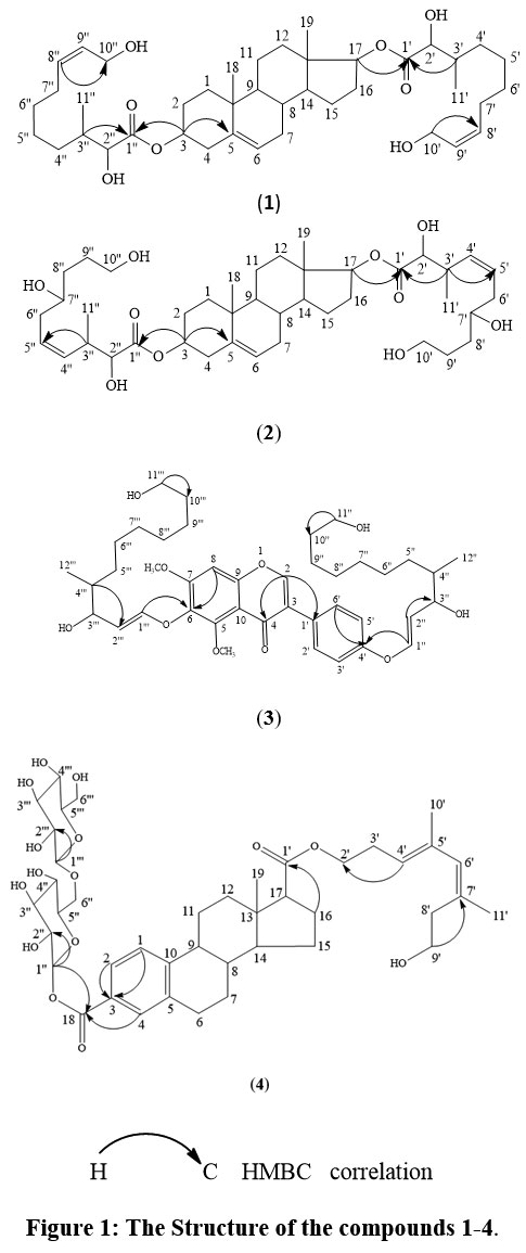 Orienjchem's tweet image. Isolation, Characterization and Molecular Docking Studies of Bioactive Phytoconstituents from the Seeds of Mucuna pruriens

Read the Article here: bit.ly/3L9kpTo

#ADMEprediction #Bioactivity #Mucunapruriens #MolecularDocking #Phytoconstituents #chemistry #biochemistry