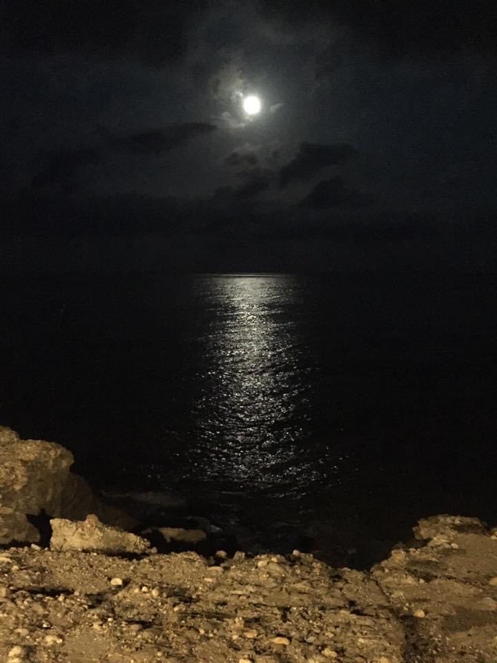 hertsdad0405 (@hertsdad0405) on Twitter photo 