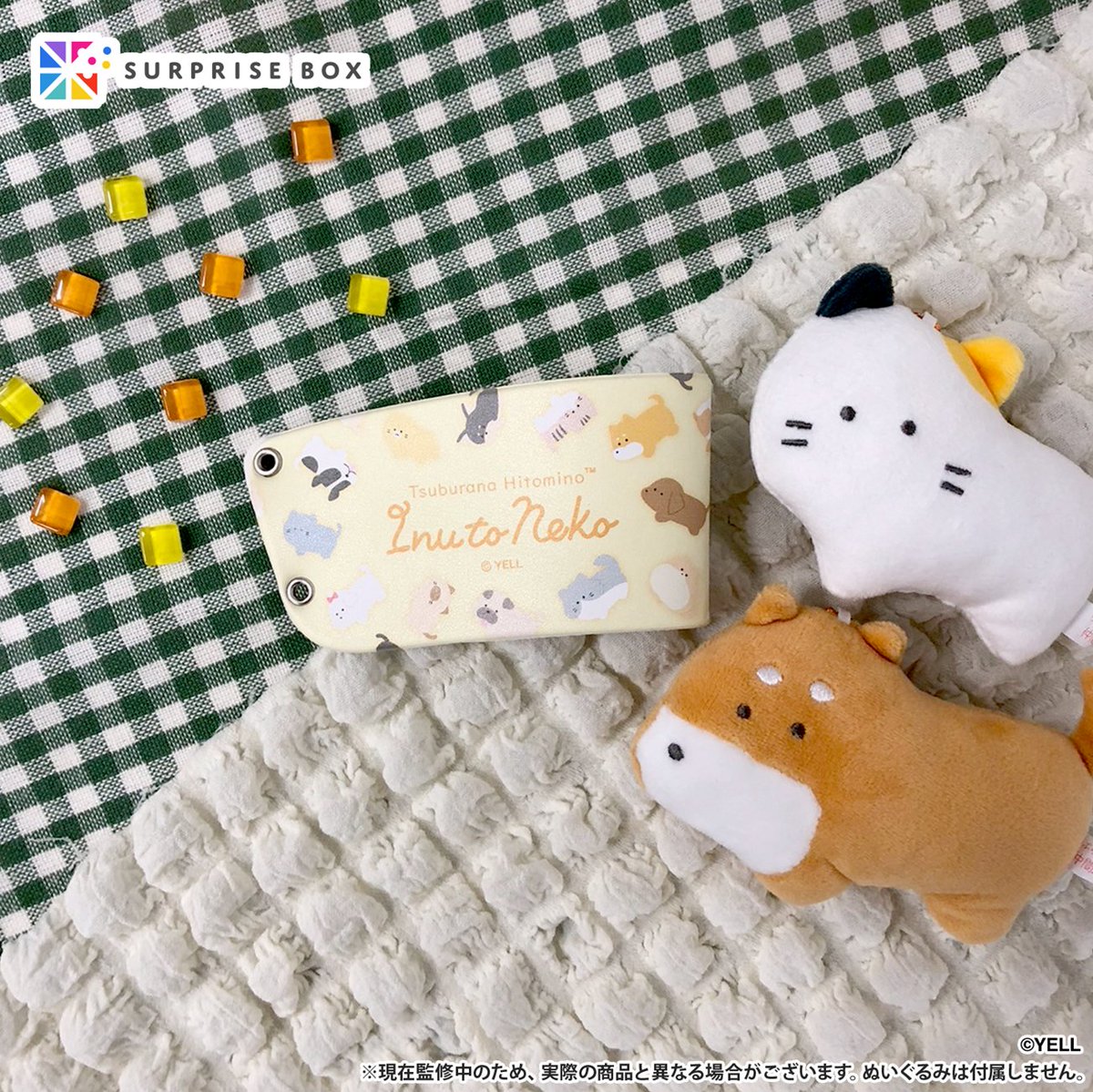 つぶらな瞳の仲間達【公式】 (@tsuburana_aqua) / Posts / X