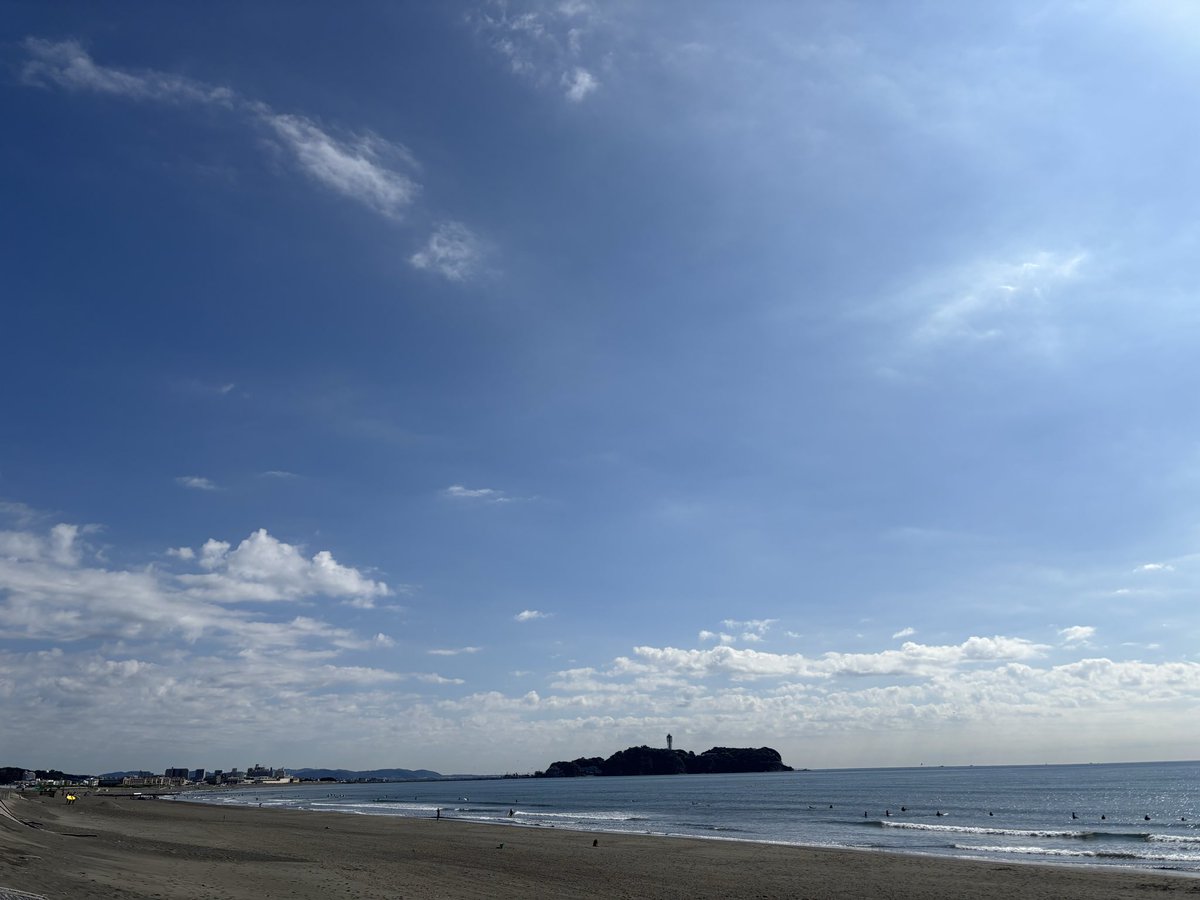 波乗りベイビー！！ 楽天市場】子供用 自転車 通販 Feelling of decks FOD-20 20インチ