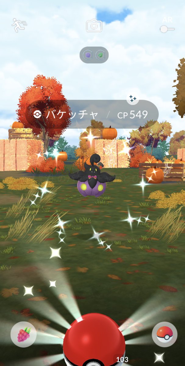 #ポケモンGO
#ポケモンGOしてる人と繋がりたい
#ポケモンGO好きな人と繋がりたい
#バケッチャ色違い

今日2体目の色違いはバケッチャ❗

ハロウィンのは初です😊ﾔﾀｰ