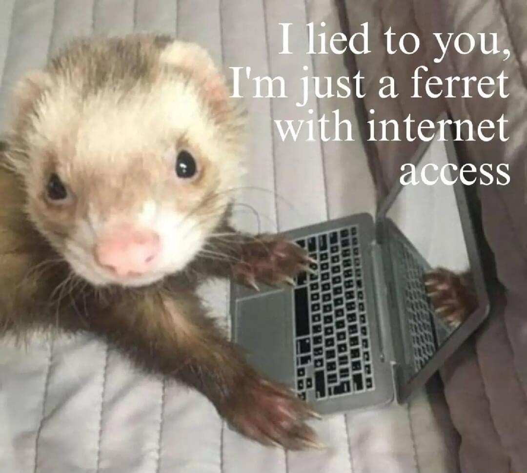 JustMailbox's tweet image. Breaking the immersion with this face reveal