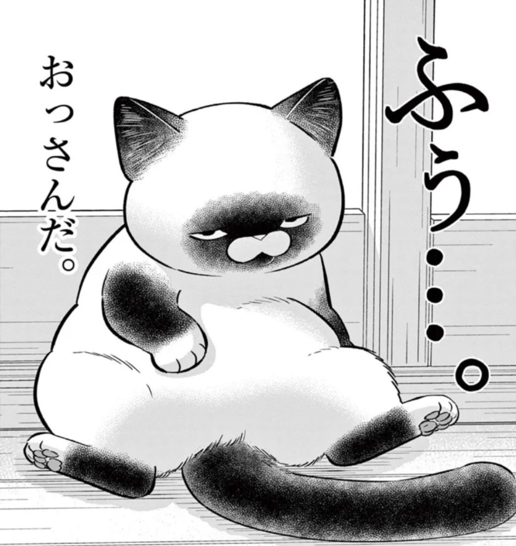 オヤジとにゃん吉🐾公式 (@oyazitonyankiti) / Posts / X