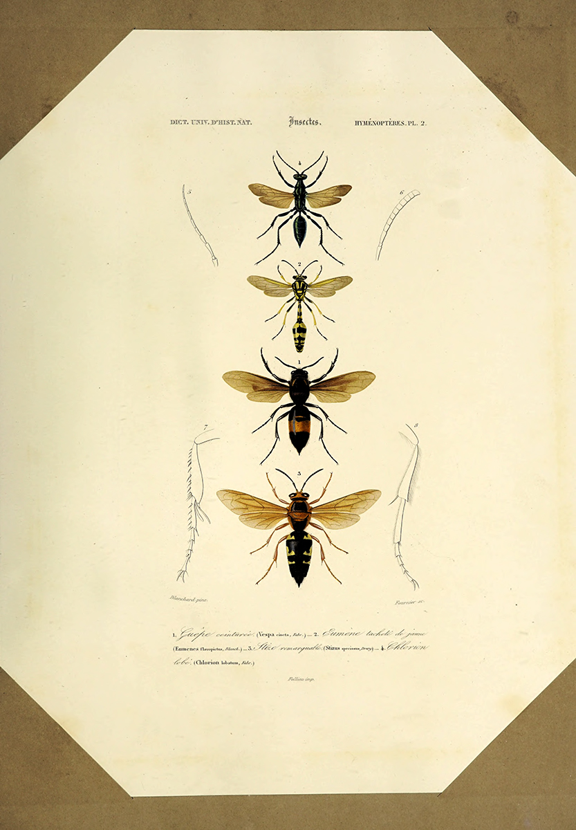 ʜɪʀᴏsʜɪ ɴᴀᴋᴀᴍɪɴᴇ on X