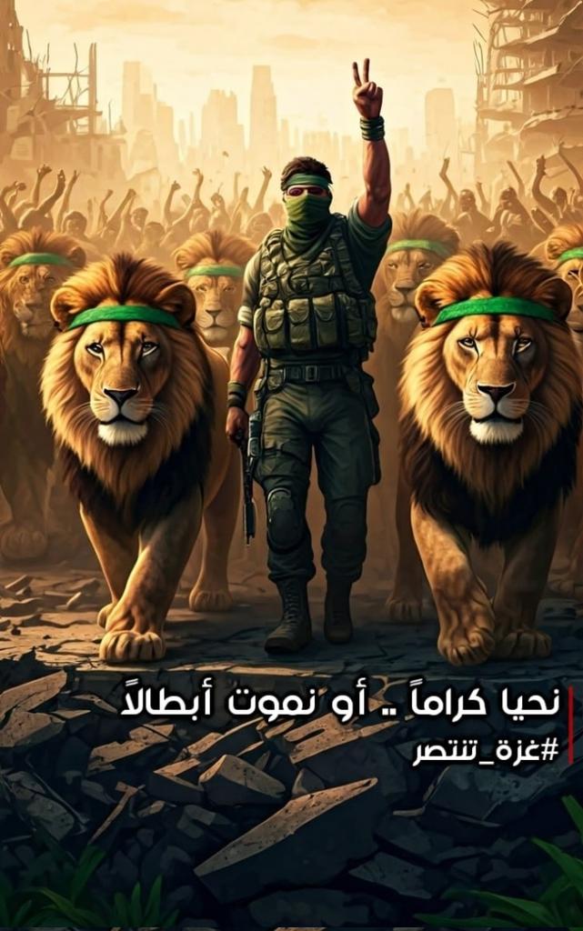 omar_mo_omar's tweet photo. https://t.co/cxaKXtjZIJ