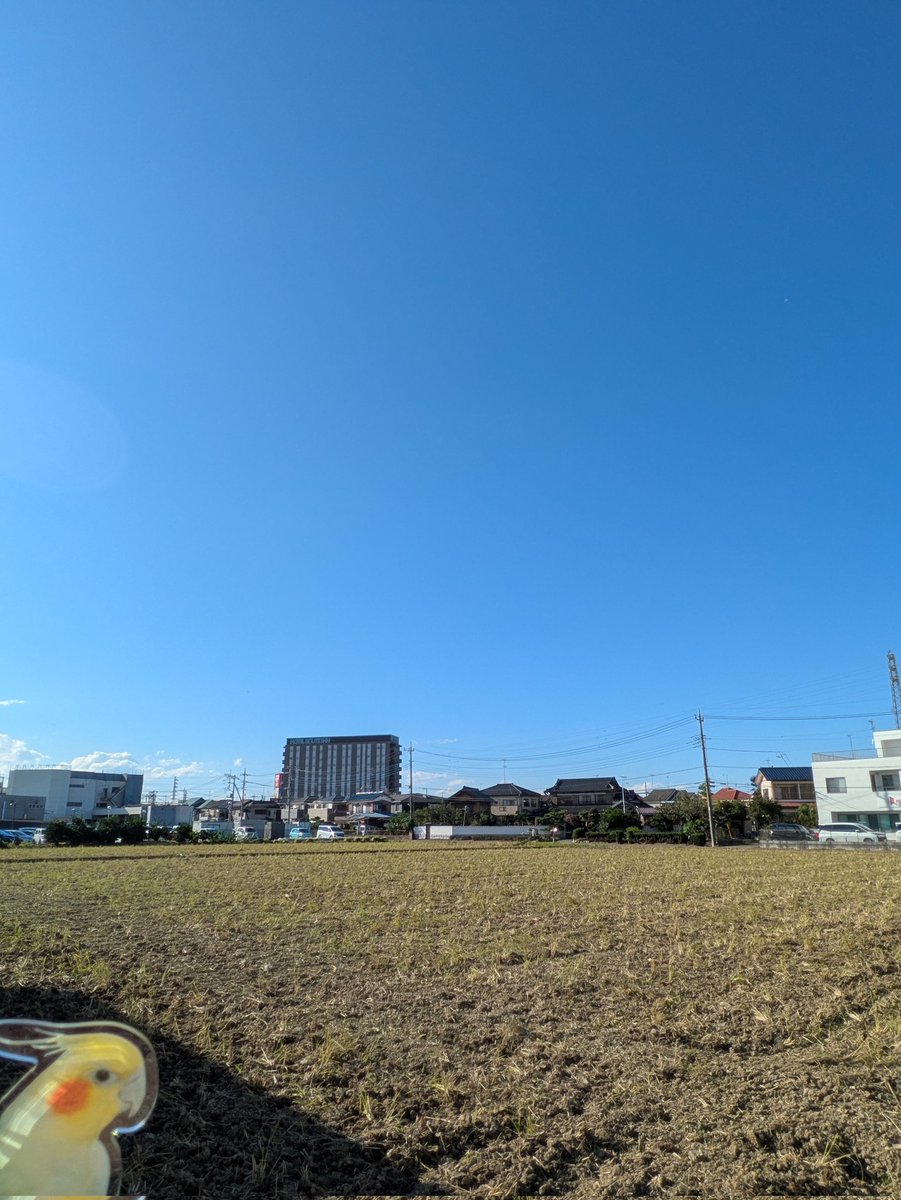 ぱんだ母さん@みつばち製品のお店アルビレオ on X