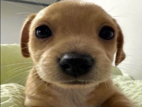 Smoking so I don’t have to remember anymore