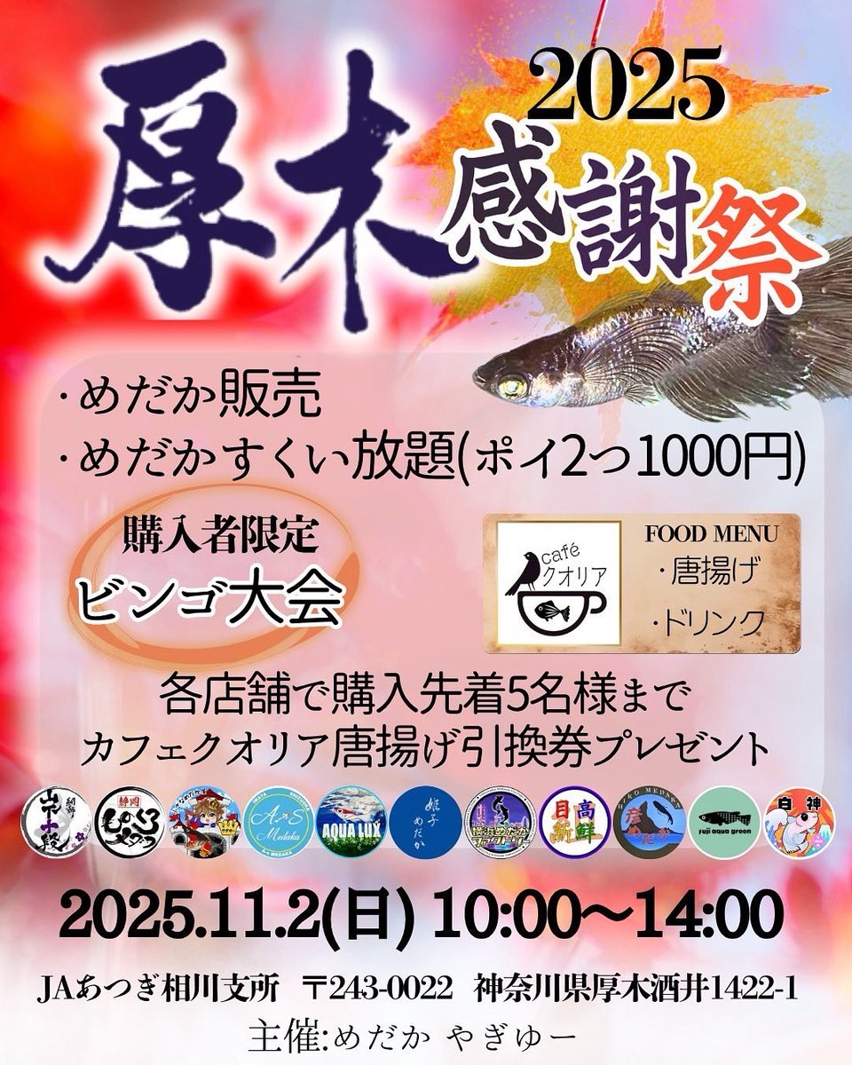 いよいよ今週末です。
ビンゴの景品がアツい
medakerさんからビンゴの協賛メダカを
2品頂きました🤩
私は色々出します。