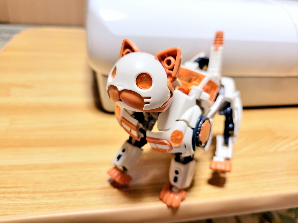 猫魚【雷鳥工房】 (@catfish_raicho) / Posts / X