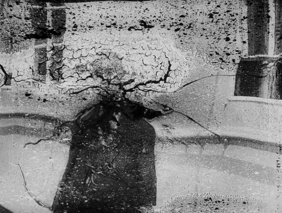 Una joia pràcticament invisible que hauries de tenir a la teva llista de pendents: la bellesa extraterrestre i profundament inquietant del cel·luloide viu, en descomposició, de DECASIA (2002).