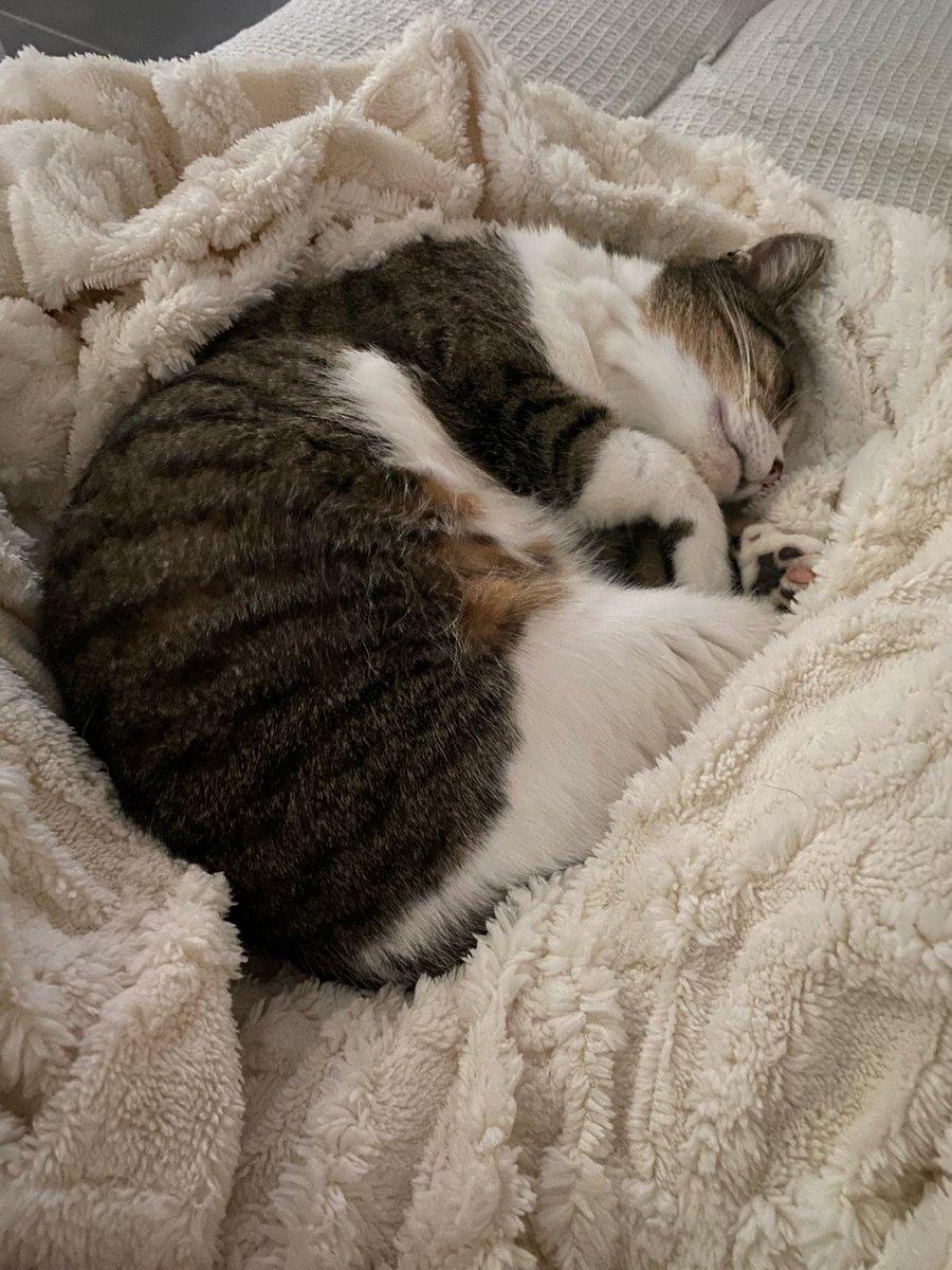 Namsu 🕯 tweet media