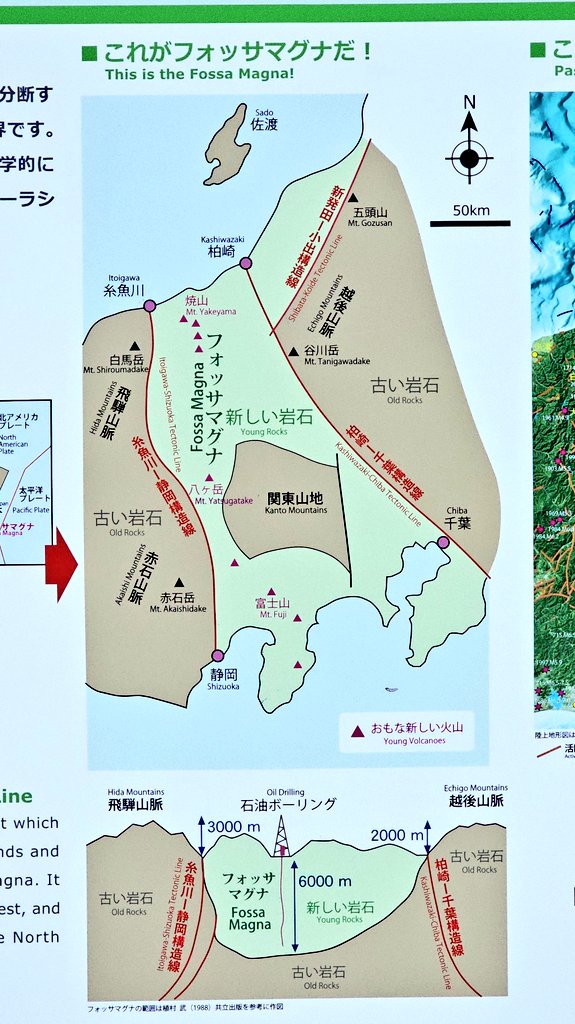 き～さん(き〜とり) ٩(◍^θ^◍)۶~❤︎ on X