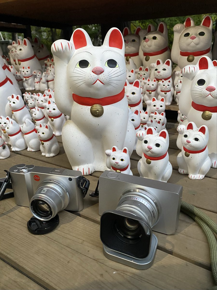 激安レンズでねこちゃんを撮ってます