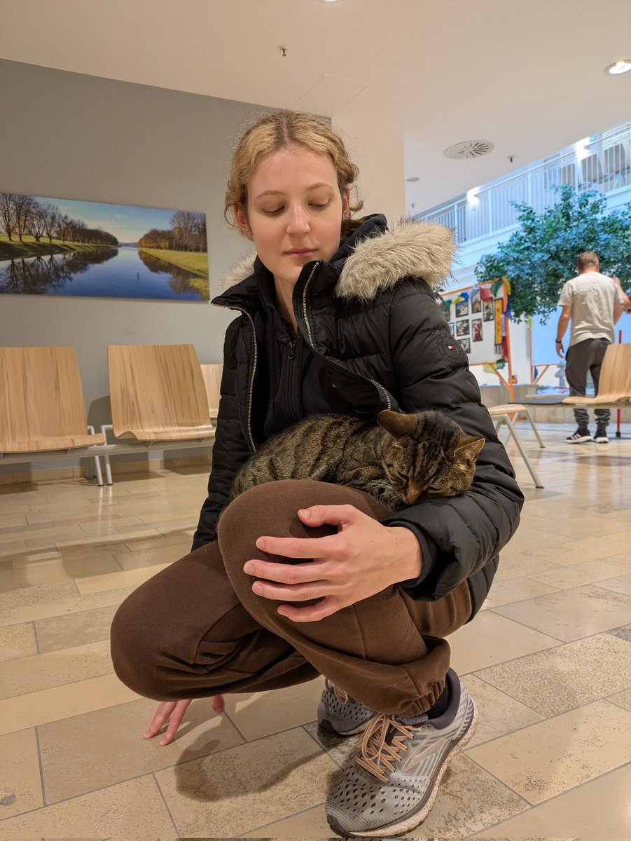 Die Katze kam einfach random zu mir, ist auf mich drauf gesprungen und hat einfach auf mir geschlafen, hab mich kurz gefühlt wie ein Tierflüsterer oder so