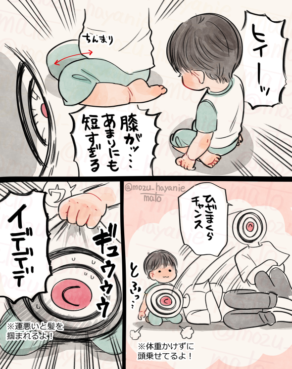 赤さんの座った膝のなんと短いことよ…👶🏻 