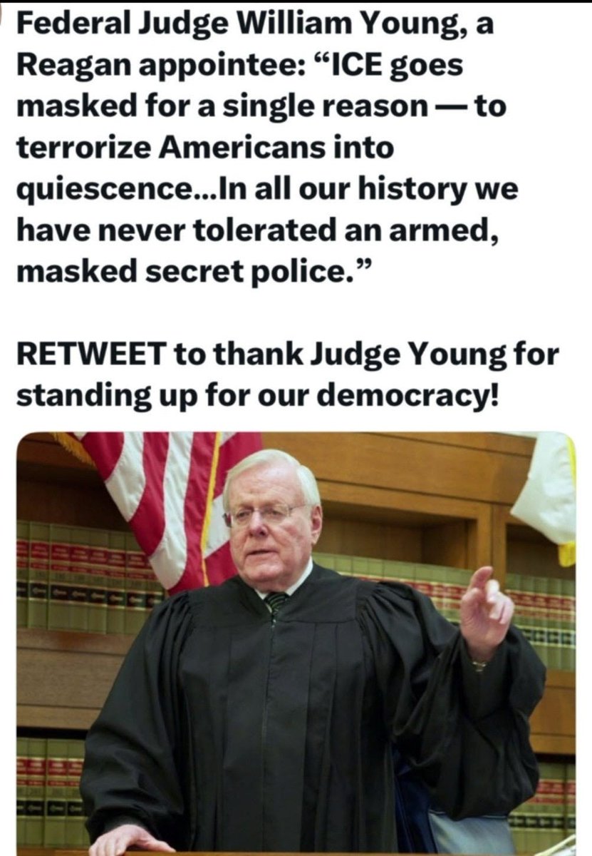 kc layne 🌴🥥🇺🇸💙 tweet media