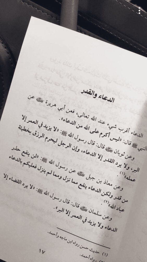 mesfhel's tweet photo. https://t.co/REiTk118bP