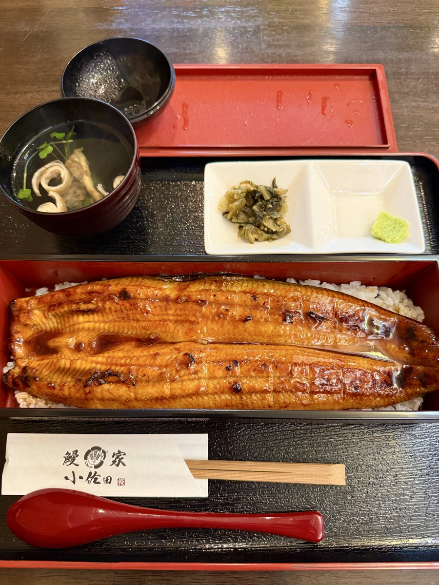 t_fawkik's tweet image. 極上日本鰻重1尾姿焼

鰻家　小佐田　佐原本館

丹念に焼き上げることで、外はパリパリ、中はふわふわの絶妙な食感を実現。風味を引き立てる秘伝のタレと、刺激的な二味やわさびが、料理の魅力をさらに際立たせます。

Past photos. 10.13

#鰻 #佐原 #千葉
#写真好きな人と繋がりたい
#iPhoneで撮影