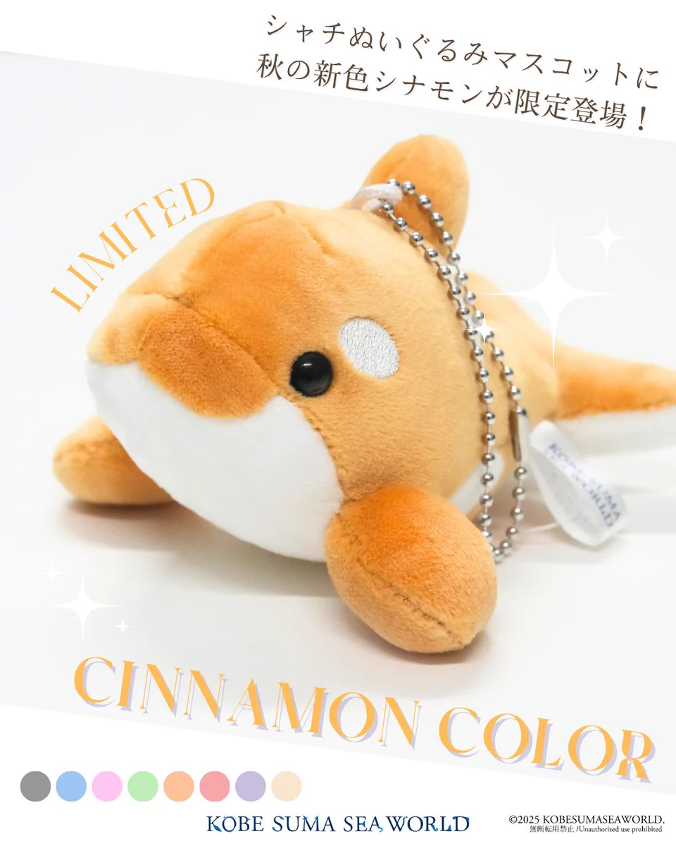 神戸須磨シーワールド　鴨川シーワールド　シャチぬいぐるみ G4V4BXMasAIpDpM?format=webp&