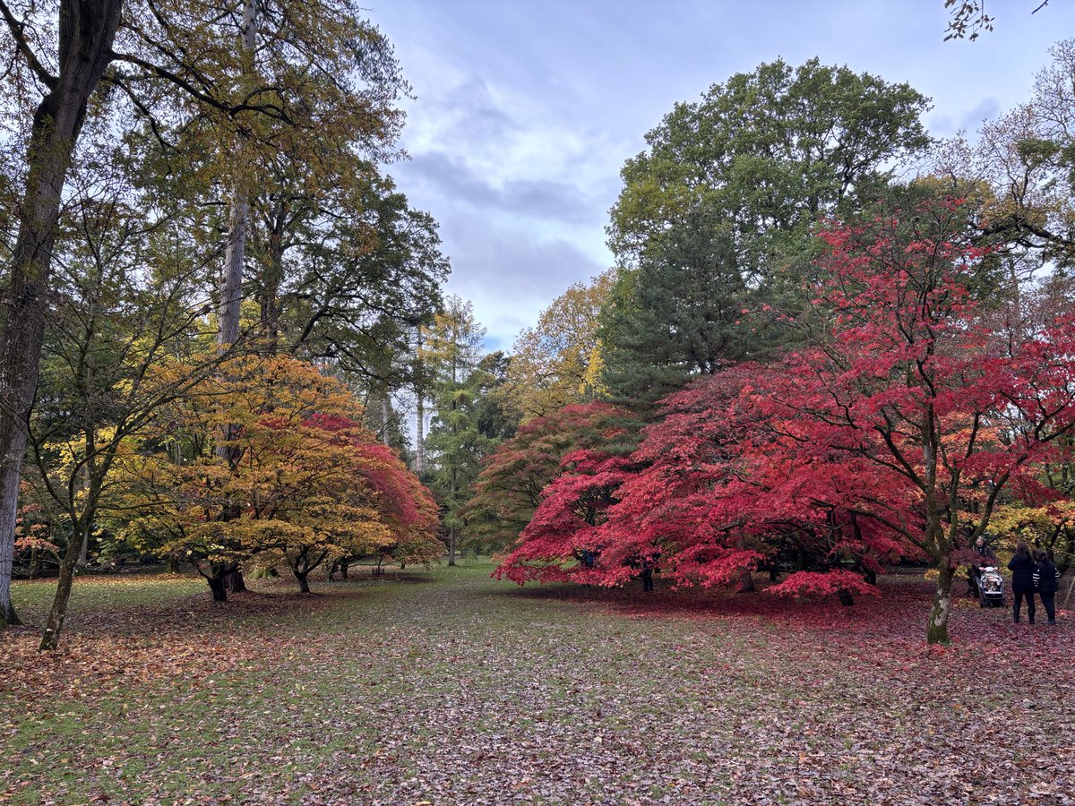 Susan Jones tweet media