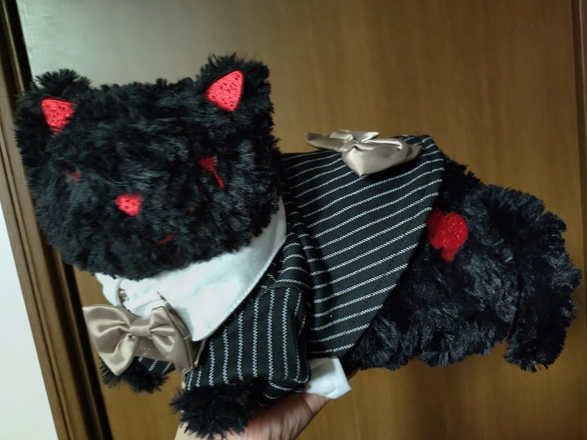 くろねこ 仔猫を拾ったので on X: 