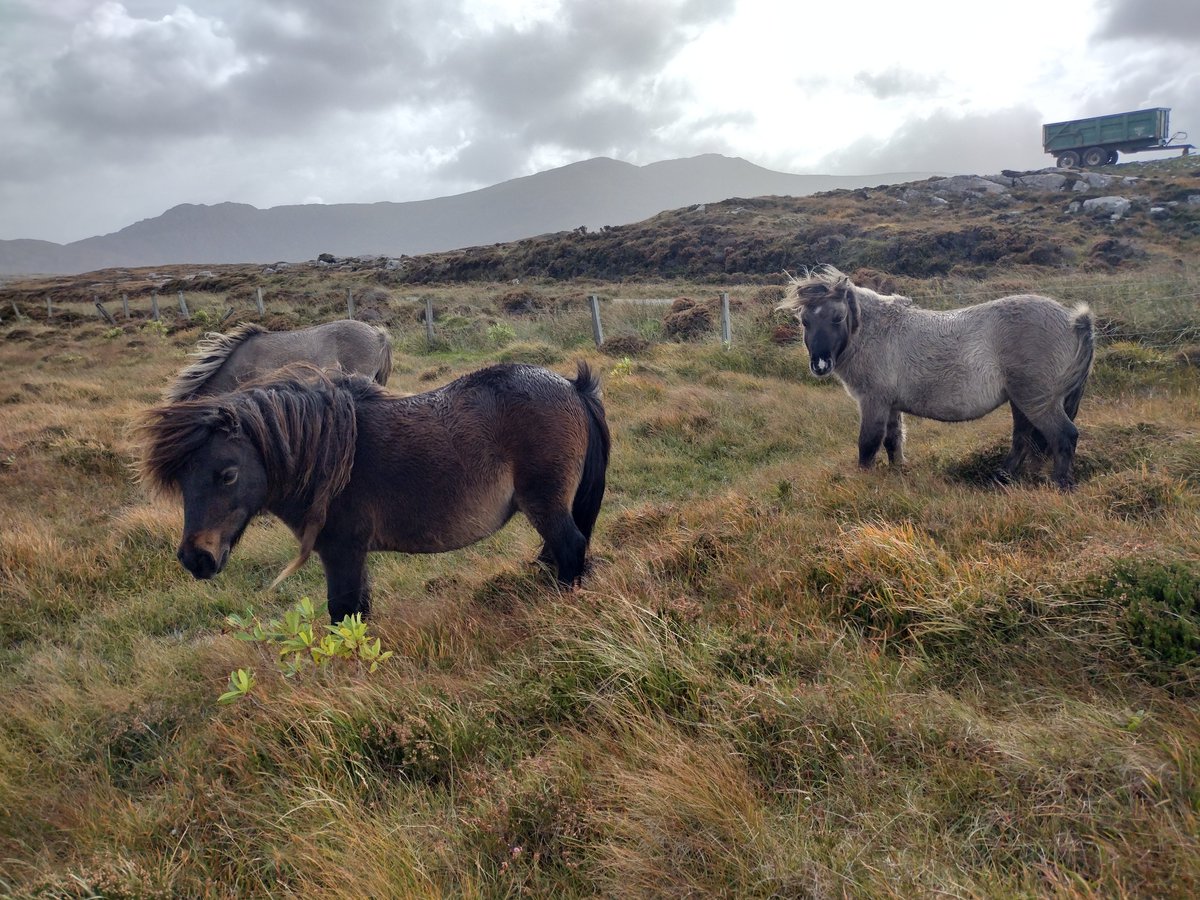 andrew_thin's tweet image. As the process of change gathers pace @CroftingScot it is vital that we recruit new skills to drive that process forward. Two new members appointed to the Crofting Commission Board today who will do that in spades. Another step forward... .
gov.scot/publications/p…