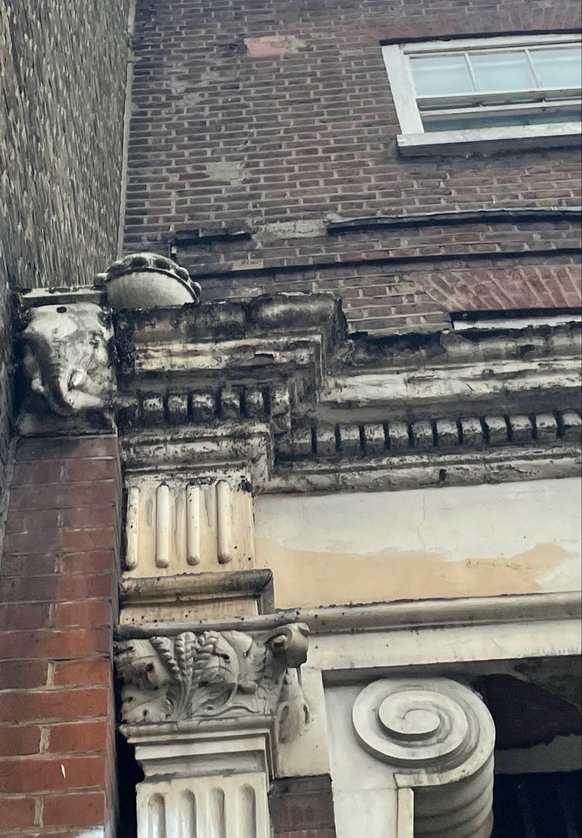 Returning home pondering getting t’bus and noticed this elephant on the old building by the stop - always love spotting details like these (especially an elephant ! )