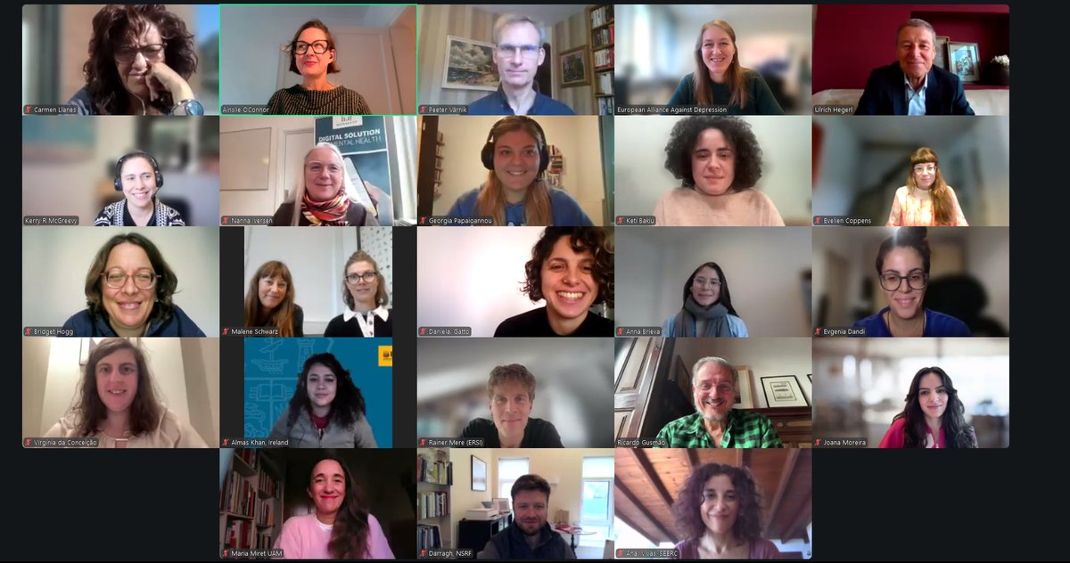 Our Plenary Meeting was held 27-28 October 2025 online, it was nice to see you all again even if we couldn't meet in person this time! <a href="/EAAD_Research/">EAAD</a> <a href="/LUCASkuleuven/">LUCAS KU Leuven</a> <a href="/CommunityCentr8/">Community Centre for Health and Wellbeing</a> <a href="/ISPUP/">ISPUP</a> <a href="/NSRFIreland/">National Suicide Research Foundation</a> <a href="/depr_hilfe/">Stiftung Deutsche Depressionshilfe</a> <a href="/seercorg/">SEERC</a> <a href="/UAM_Medicina/">Medicina UAM</a> <a href="/HMar_research/">HMar Research Institute</a> <a href="/PintailLimited/">Pintail Limited</a> <a href="/Monsenso/">Monsenso</a>