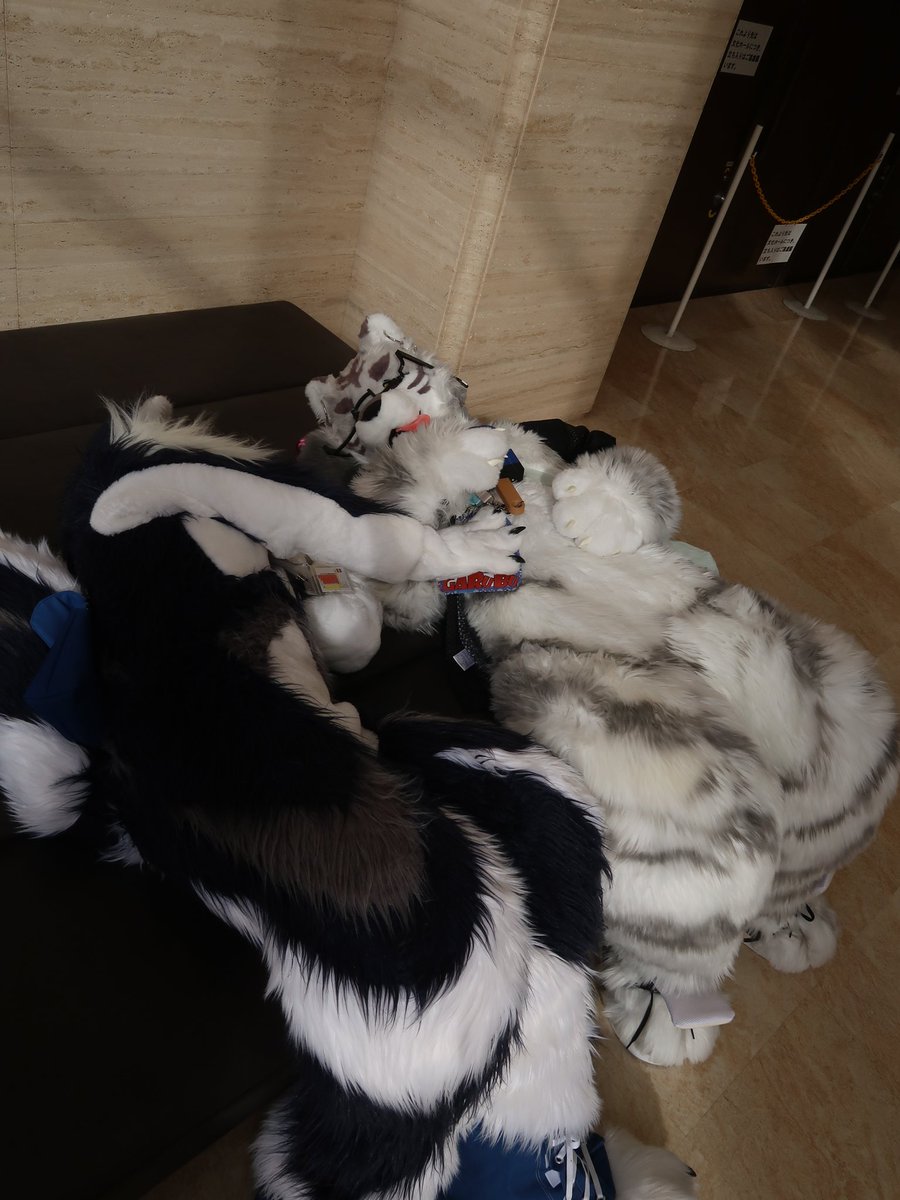 これは昼寝しているところを撮られたそーげつとガルブくん
📷️<a href="/a_9202/">Aran</a>