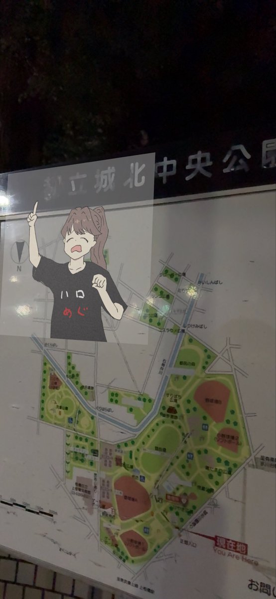 aki です✩.*˚ Aki Hayakawa 1/7 Figure (Chainsaw Man)