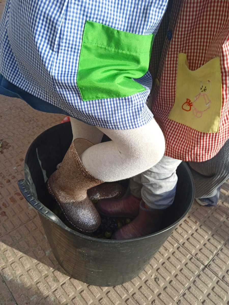 CP_FVillalobosB's tweet photo. Los mas pequeños han disfrutado de la vendimia , aprendiendo las viejas costumbres y tomando mosto para brindar. https://t.co/ETWqim0oNk