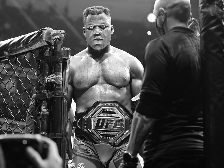 The Fight Fanatic π³π¬π₯ (@kem_maka) on Twitter photo #BringBackNgannou
Day 2 of asking for the return of The Predator at the White House. πΊπΈ 
#UFC #MMATwitter #BringBackNgannou
Day 2 of asking for the return of The Predator at the White House. πΊπΈ 
#UFC #MMATwitter